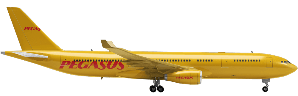 Pegasus Airlines
