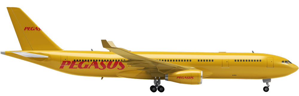 Pegasus Airlines